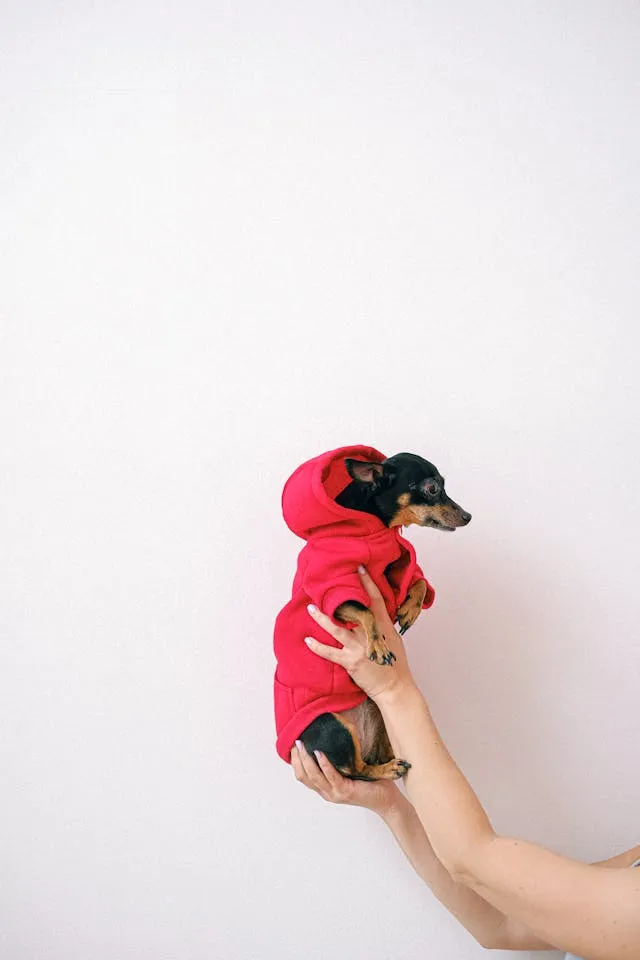 Comfortable Pet Beds